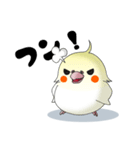オカメだらけ。（個別スタンプ：29）