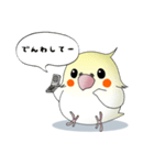 オカメだらけ。（個別スタンプ：34）