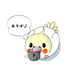 オカメだらけ。（個別スタンプ：36）