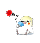 オカメだらけ。（個別スタンプ：37）
