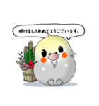 オカメだらけ。（個別スタンプ：40）