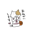 Basketnyan（個別スタンプ：1）