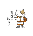 Basketnyan（個別スタンプ：8）