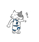 Basketnyan（個別スタンプ：11）