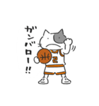 Basketnyan（個別スタンプ：13）