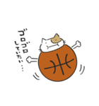 Basketnyan（個別スタンプ：14）