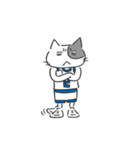 Basketnyan（個別スタンプ：21）