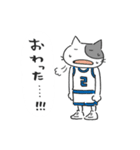 Basketnyan（個別スタンプ：22）