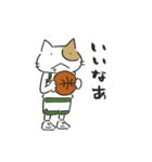 Basketnyan（個別スタンプ：23）