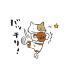 Basketnyan（個別スタンプ：24）