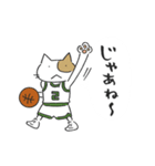 Basketnyan（個別スタンプ：29）