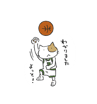 Basketnyan（個別スタンプ：31）