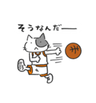 Basketnyan（個別スタンプ：36）