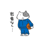 Basketnyan（個別スタンプ：38）