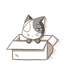 Maggie in the box（個別スタンプ：7）