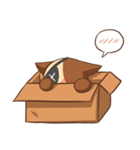 Maggie in the box（個別スタンプ：13）