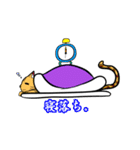 珍しい五匹の動物スタンプ（個別スタンプ：19）