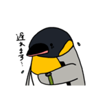 オウサマペンギン（個別スタンプ：7）