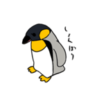 オウサマペンギン（個別スタンプ：18）