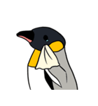 オウサマペンギン（個別スタンプ：19）