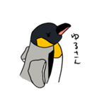 オウサマペンギン（個別スタンプ：25）