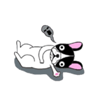 BOBU - Boston Terrier French Bulldog（個別スタンプ：3）