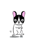 BOBU - Boston Terrier French Bulldog（個別スタンプ：25）