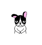BOBU - Boston Terrier French Bulldog（個別スタンプ：39）