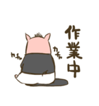 ぶたのトン太（個別スタンプ：11）