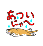 うち猫集（個別スタンプ：1）