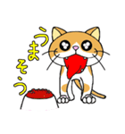 うち猫集（個別スタンプ：11）