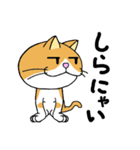 うち猫集（個別スタンプ：13）