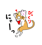 うち猫集（個別スタンプ：19）
