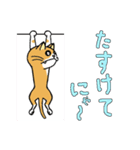 うち猫集（個別スタンプ：20）