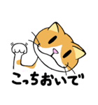 うち猫集（個別スタンプ：21）