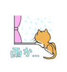うち猫集（個別スタンプ：24）