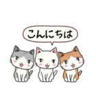 ねここちゃんとお友達1（個別スタンプ：1）