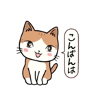 ねここちゃんとお友達1（個別スタンプ：37）