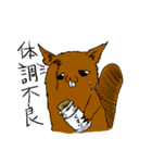 犬ビーバー（個別スタンプ：10）