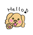 ダップー（個別スタンプ：1）