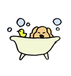 ダップー（個別スタンプ：10）