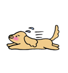 ダップー（個別スタンプ：11）