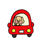 ダップー（個別スタンプ：27）
