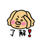 ダップー（個別スタンプ：31）
