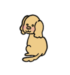 ダップー（個別スタンプ：35）