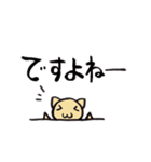 くまとねことこあら。（個別スタンプ：20）