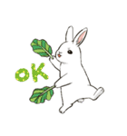 Rabbit with Mask（個別スタンプ：3）
