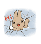 Rabbit with Mask（個別スタンプ：13）