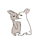 Rabbit with Mask（個別スタンプ：16）