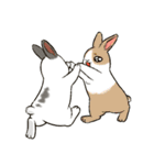 Rabbit with Mask（個別スタンプ：22）